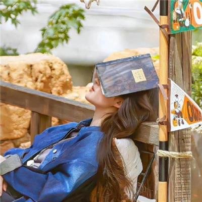 超级情报员麦汉第二集